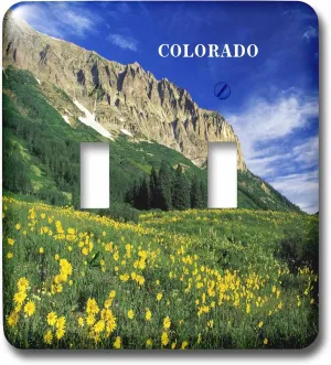 3dRose lsp_61893_2 Alpine Meadow In Colorado Double Toggle Switch