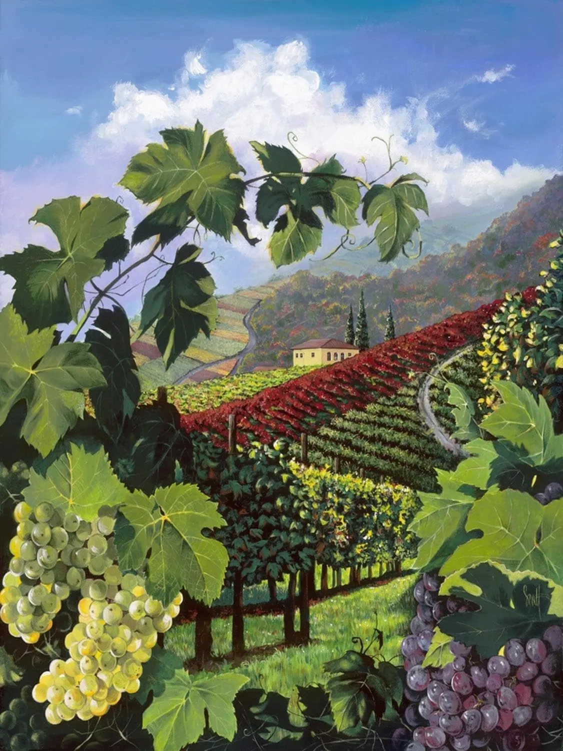 ART.COM Wall Art Print One Vine Day by Scott Westmoreland, 12" x 16"