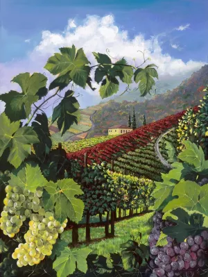 ART.COM Wall Art Print One Vine Day by Scott Westmoreland, 12" x 16"