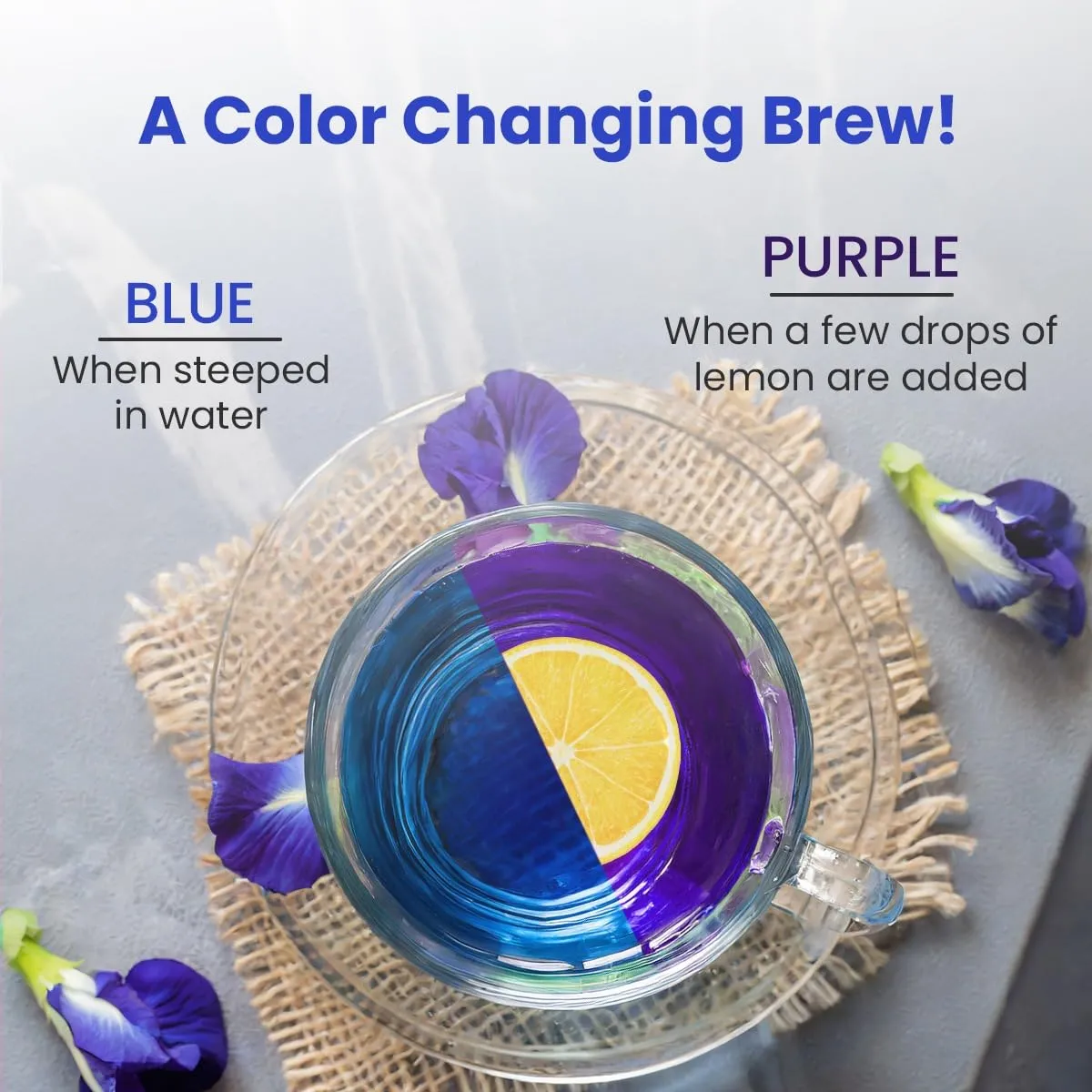 BLUE TEA - Butterfly Pea Flower Tea - 2.11 Oz (120  Cups) | ANTIOXIDANT RICH | Chemical Free - Herbal Tea - Caffeine free - Non Bitter - No Preservatives - Non-GMO | Zipper Pack