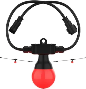 CHAUVET DJ LED Lighting (Festoon 2 RGB EXT)