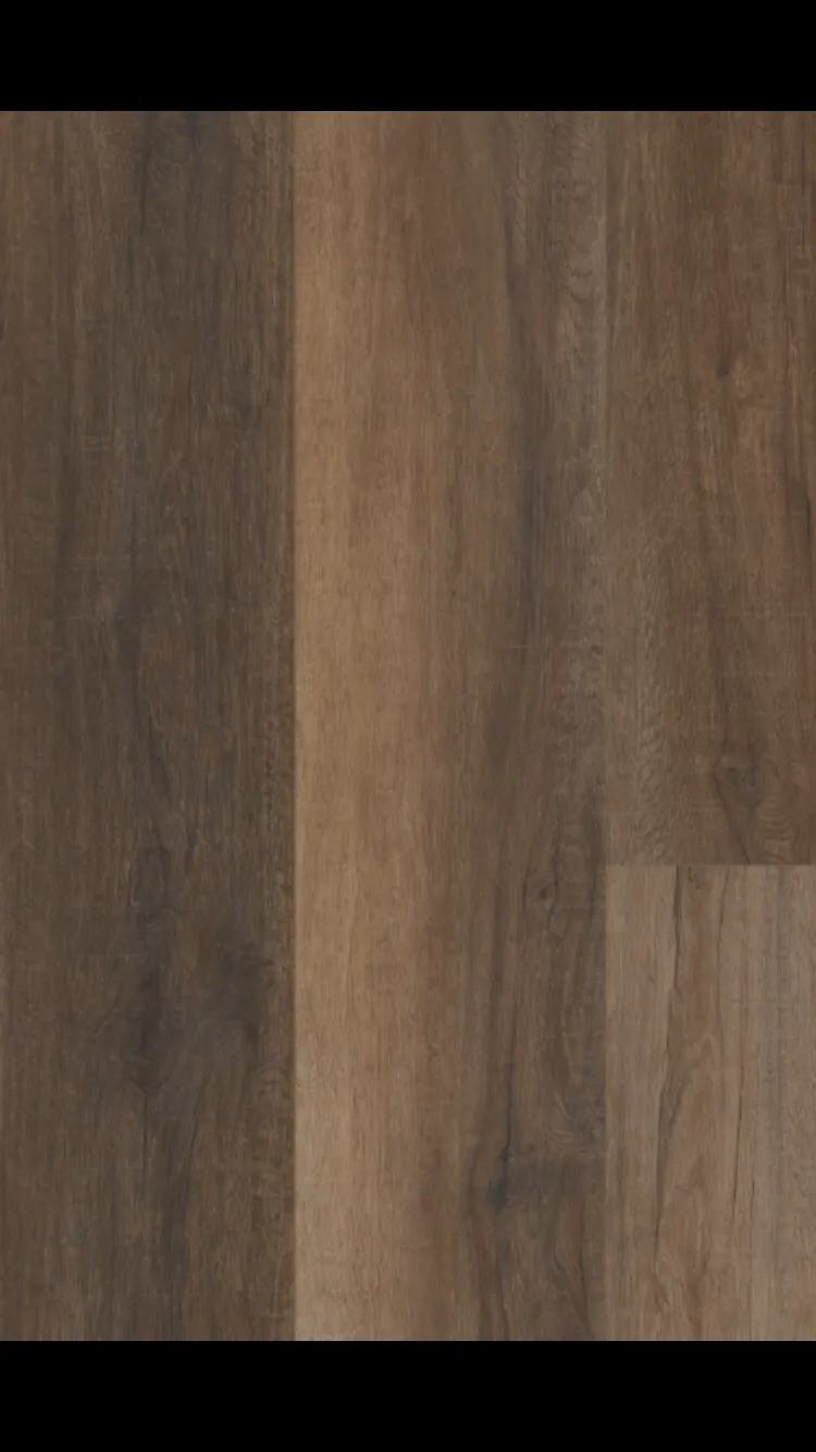 Cheshire Elm - Coretec vv488 Pro Enhanced