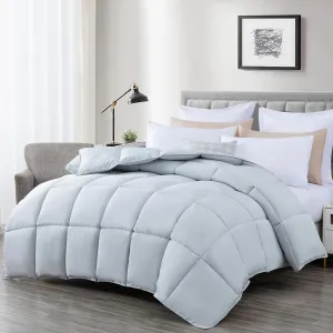 Chezmoi Collection All Season King Size Down Alternative Comforter - Plush Microfiber Fill - Box Stitch Quilted - Duvet Insert with Corner Tabs (Cal King/King, Silver Gray)