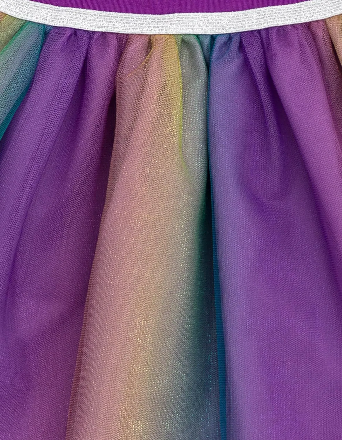 Disney Tulle Tutu Dress Infant to Big Kid Sizes (12 Months - 18-20)
