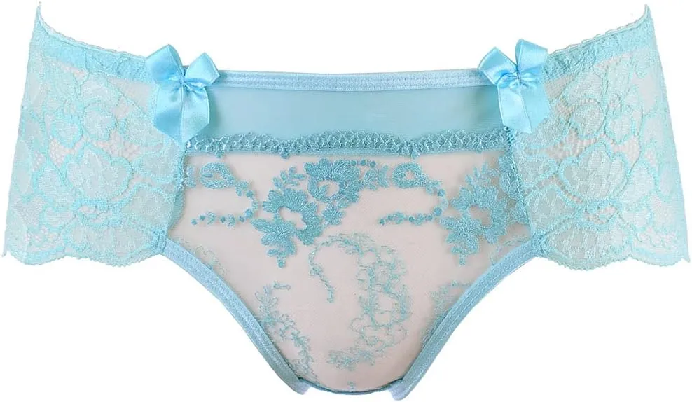 Embroidered Tulle Women's Brief V-10133