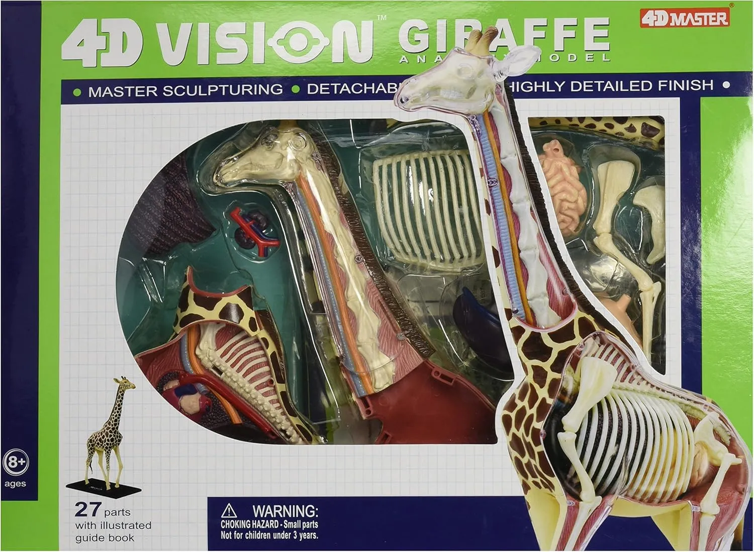 Famemaster 4D Vision Giraffe Anatomy Model, 14.5 inches