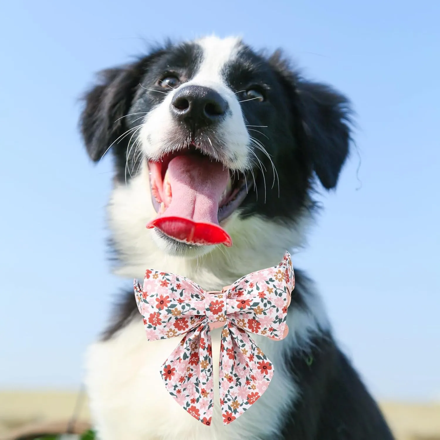 Flower Bowtie Dog Collar - Summer Comfortable Cotton Collar With Metal Buckle for Puppy Boy Girl, L