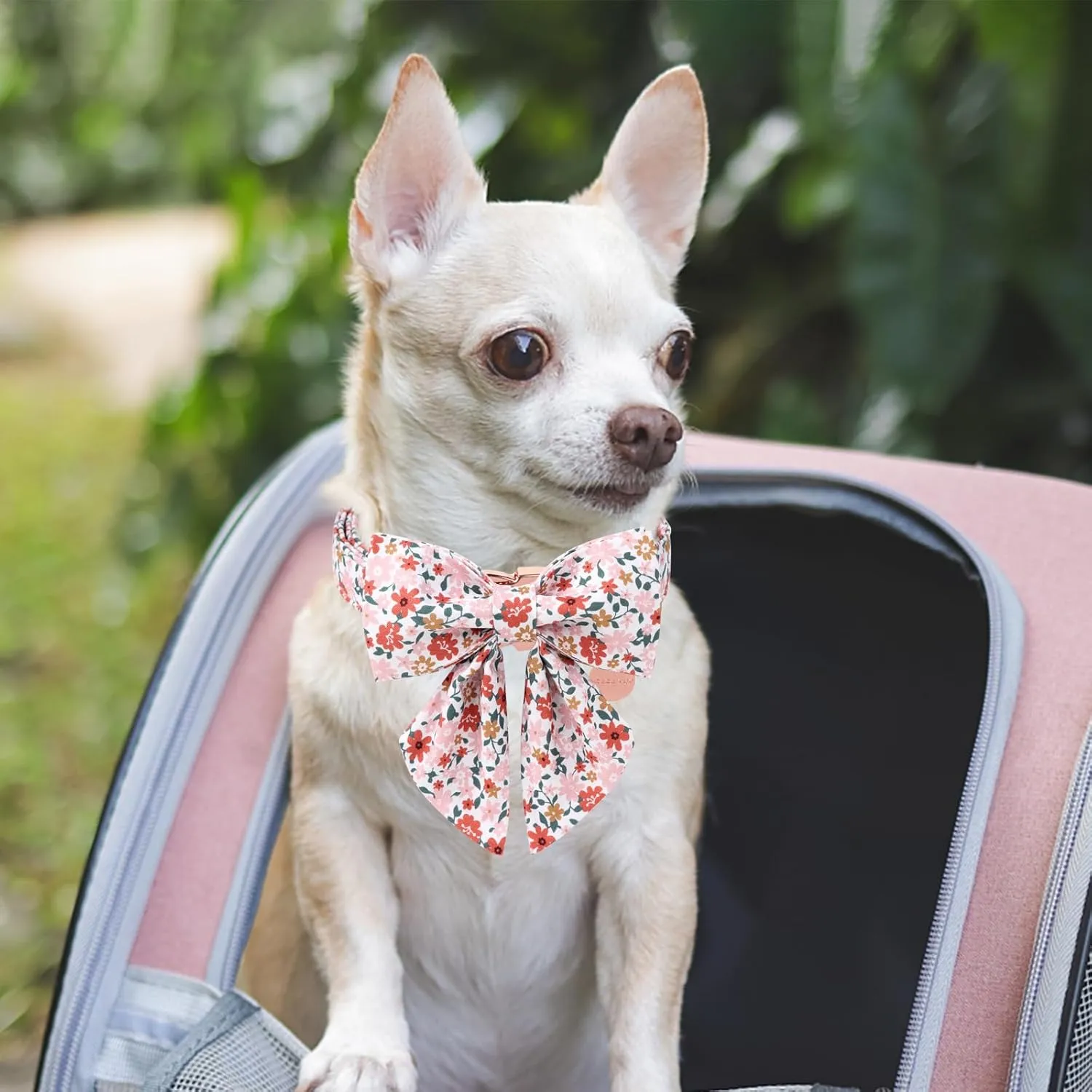 Flower Bowtie Dog Collar - Summer Comfortable Cotton Collar With Metal Buckle for Puppy Boy Girl, L
