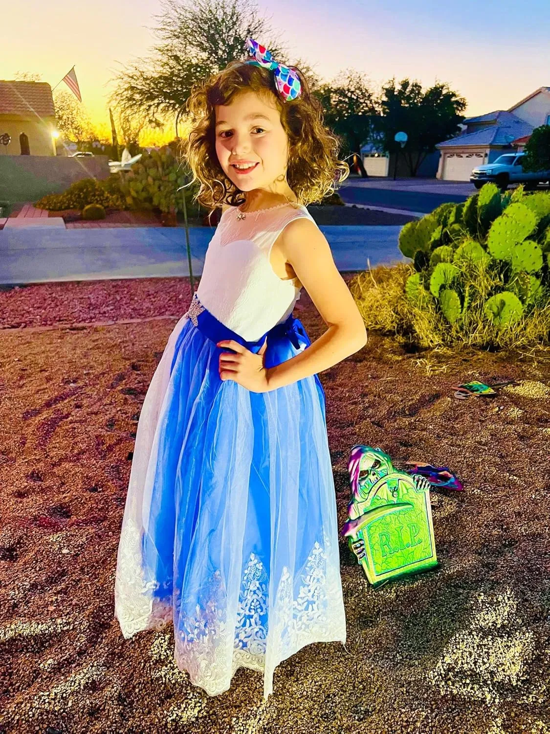 Flower Girl Dress for Wedding Kids Lace Pageant Ball Gowns