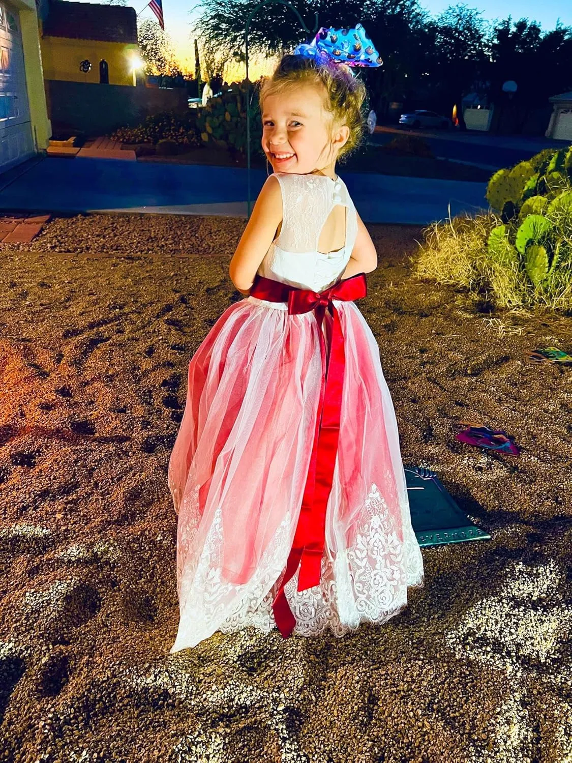 Flower Girl Dress for Wedding Kids Lace Pageant Ball Gowns