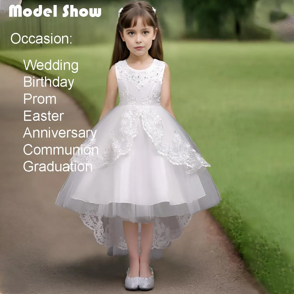 Girl Dress Embroidery Birthday Sleeveless Wedding Trail Puffy Tulle Layer Skirt Hem