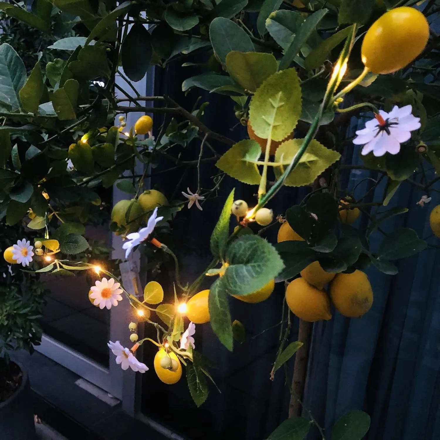 Hanging Yellow Lemon Daisy Vine Plant Garland Artificial Fruit Flower Berries Fairy Light Battery Powered for Wedding Party Christmas Decor (4 Pack, Lemon)