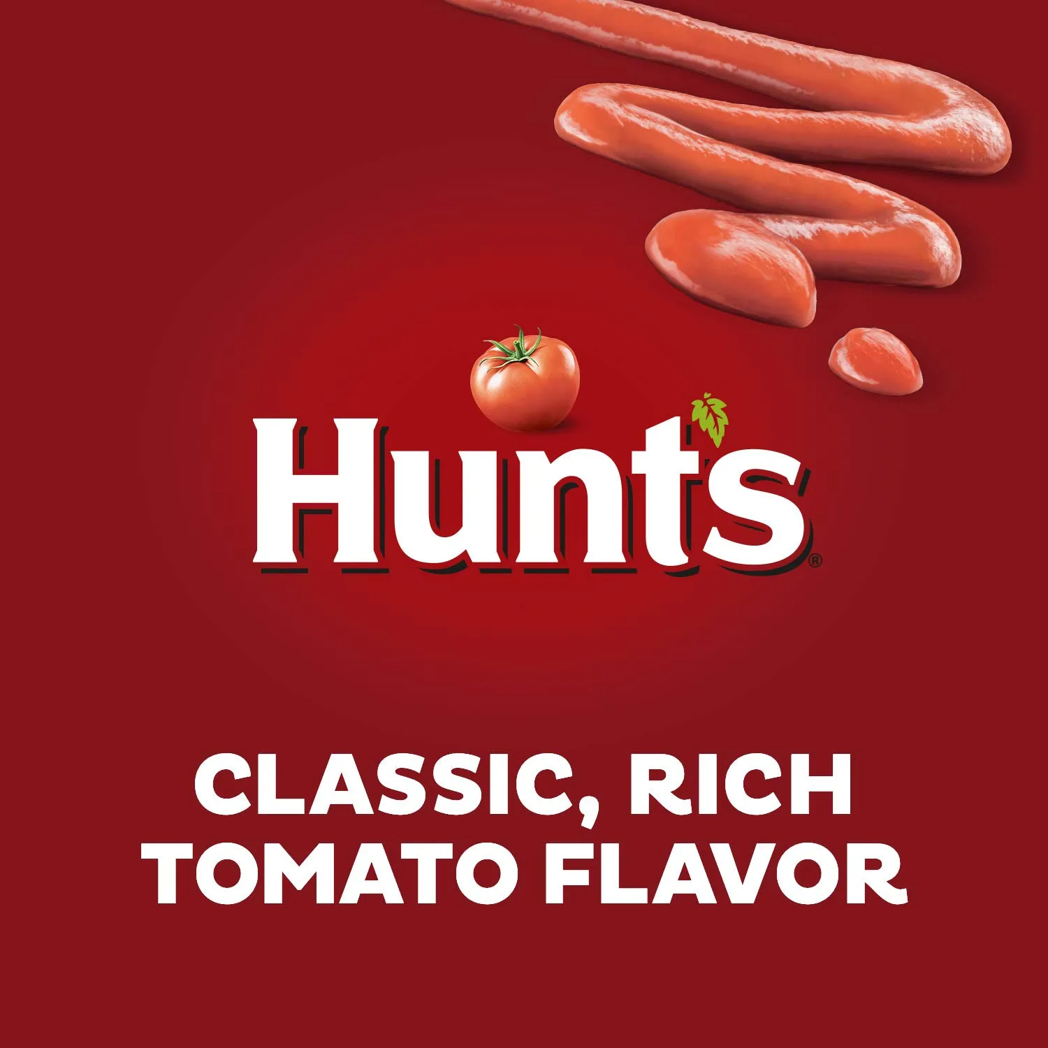 Hunt’s Tomato Ketchup, 20-oz. Squeeze Bottle (Pack of 12)