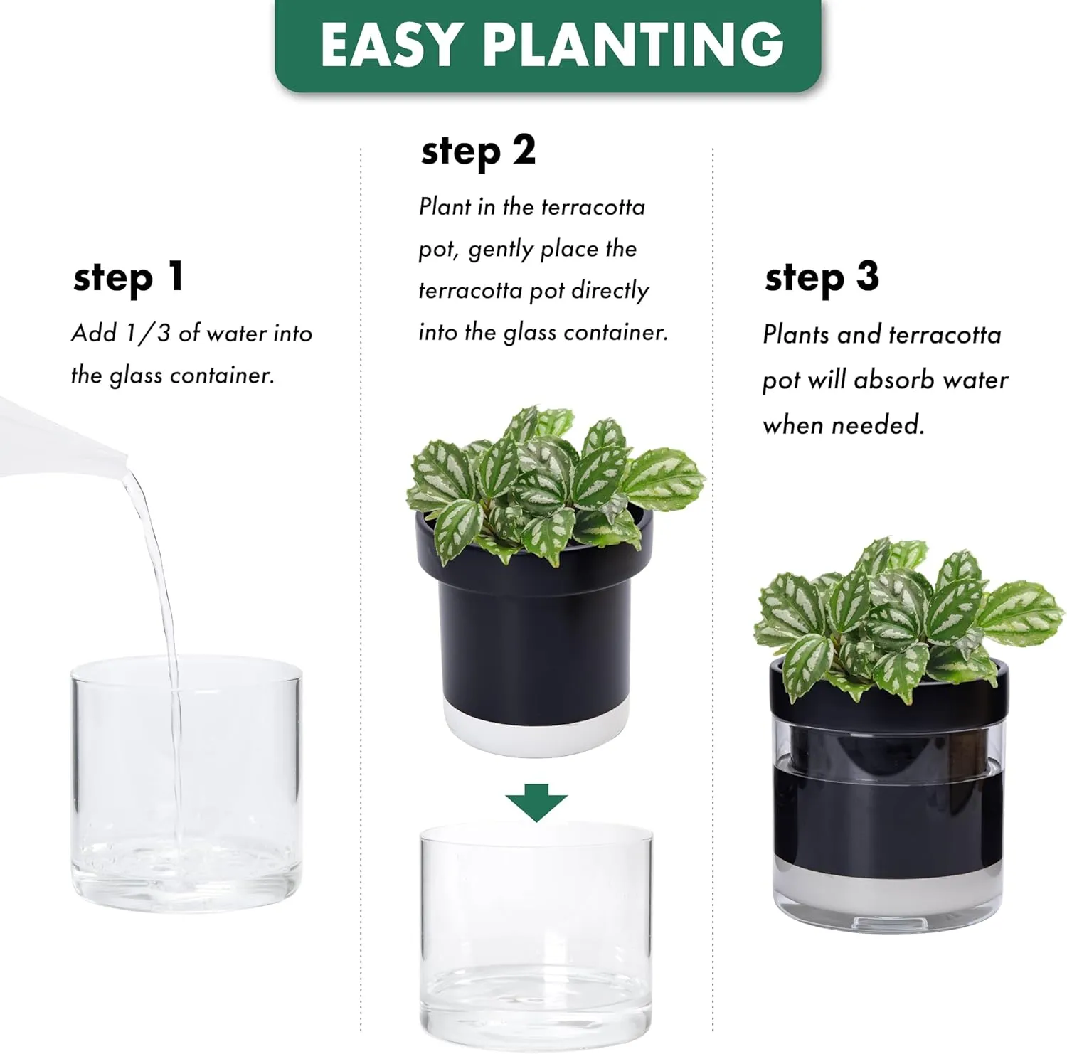 Phoenix Vine 6 Inch Self Watering Planter Pot, Black Terracotta Clay Pot with Glass Reservoir for Indoor Plants, Herbs, Flowers, Set of 2, 52-C-F-2