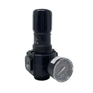 R74G-4AK-RMG : Norgren Excelon R74G Series, 1/2 PTF Ports, knob Adjustment, Relieving, 5 to 150 psi Outlet Pressure Range, with