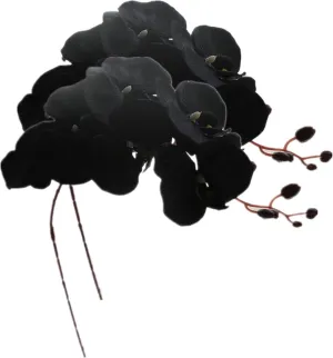 Rikyo 8 Heads Faux Orchid,40" Bouquets 2 Stem Phalaenopsis No Fade Petals Fake Flowers Forever Plants for Home Decoration, Office Decor,Wedding Party Decoration (Black)