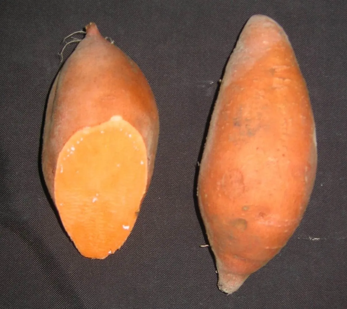Sweet Potato Plants/Slips - Georgia Jet,Fast Growing,potatoes in only 90 days (25 slips)