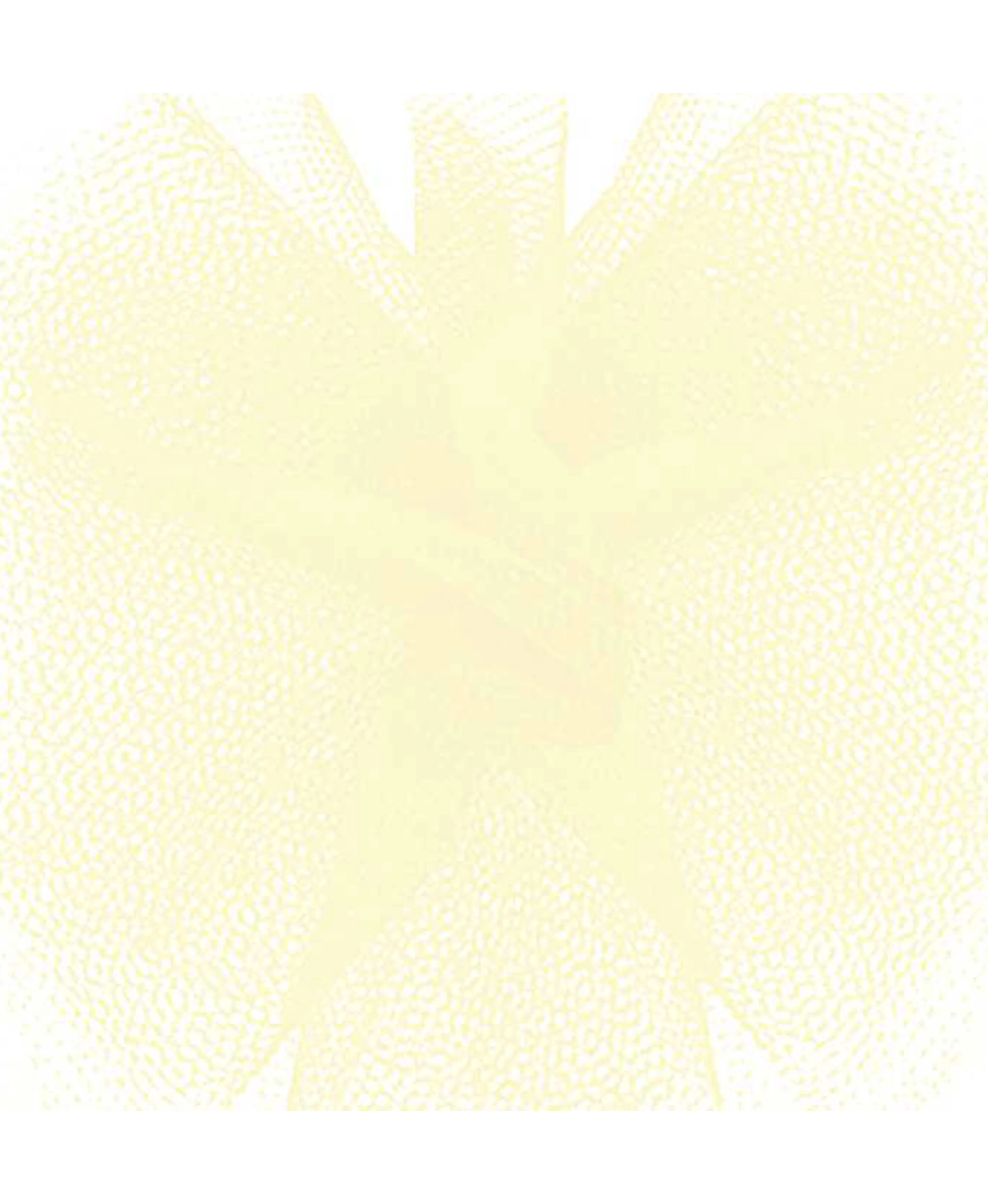 Tulle Ribbon