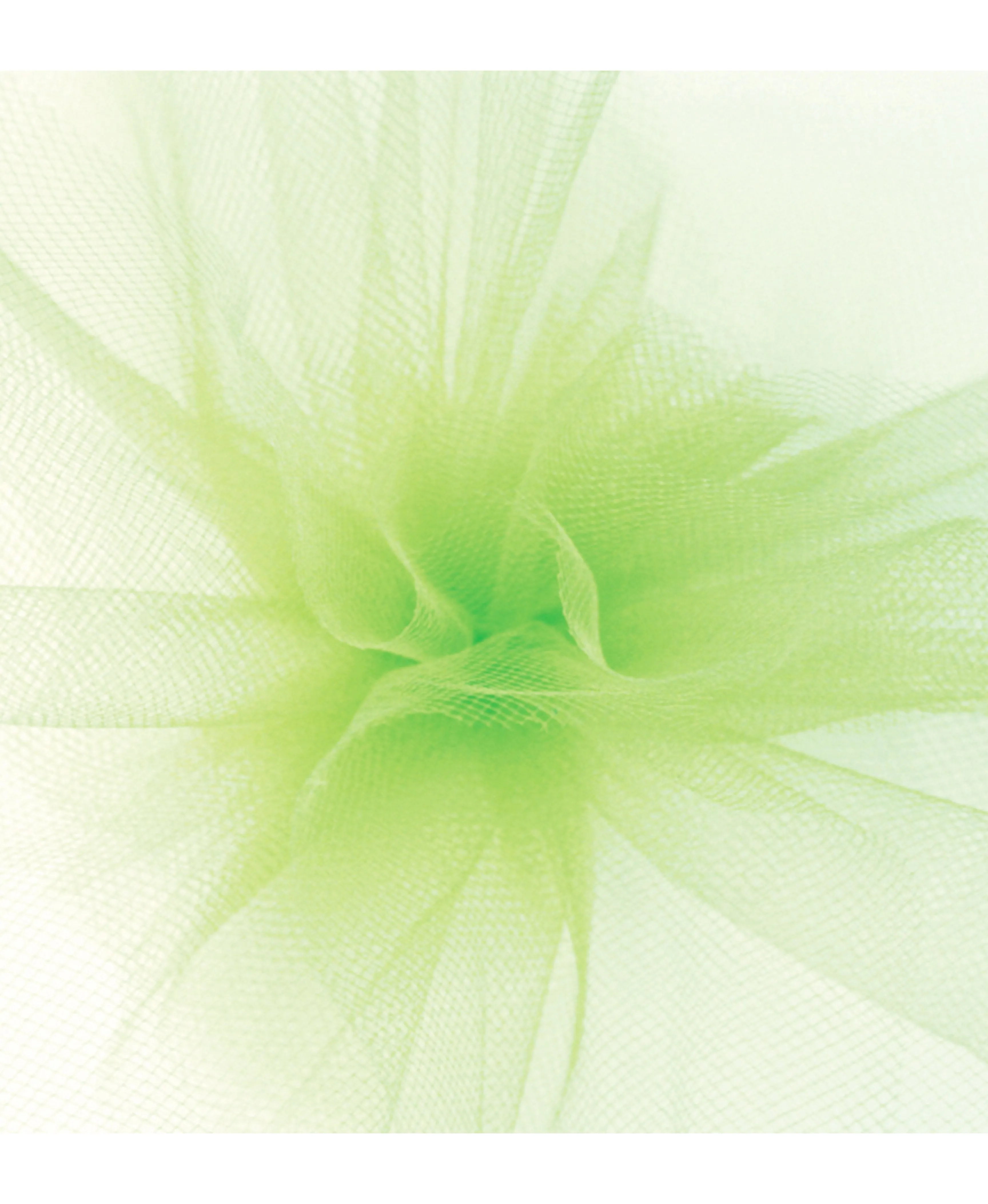 Tulle Ribbon