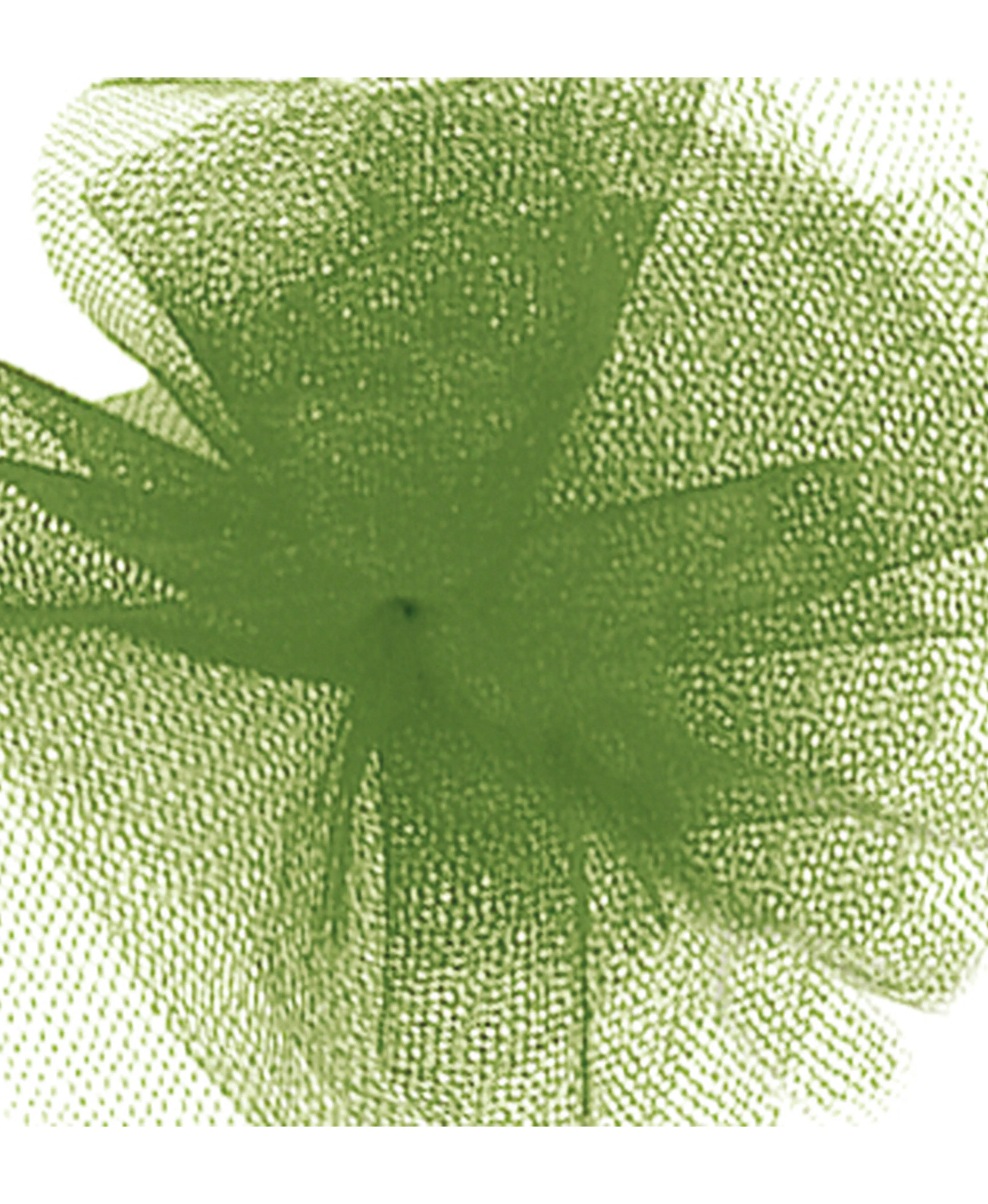 Tulle Ribbon