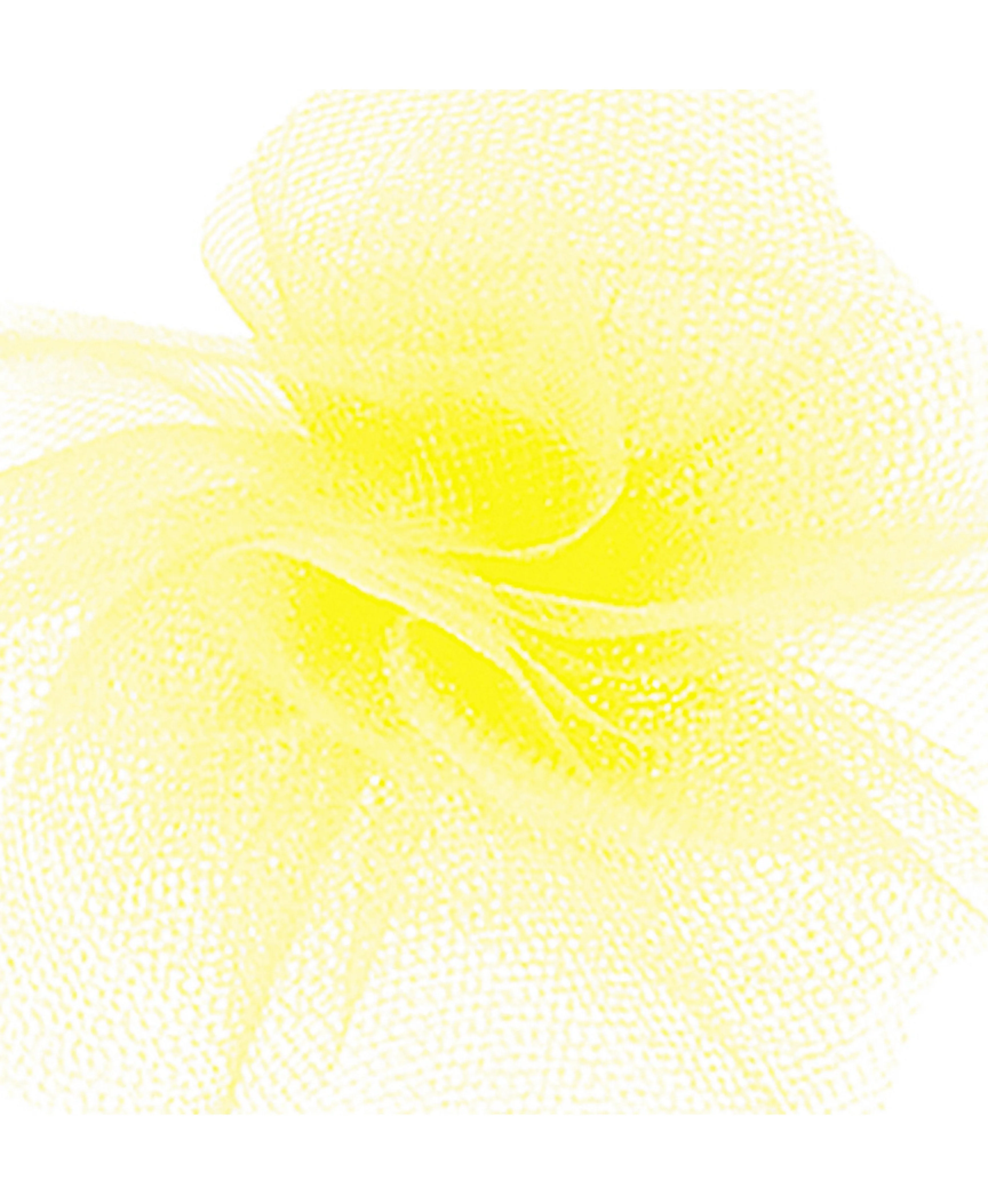 Tulle Ribbon