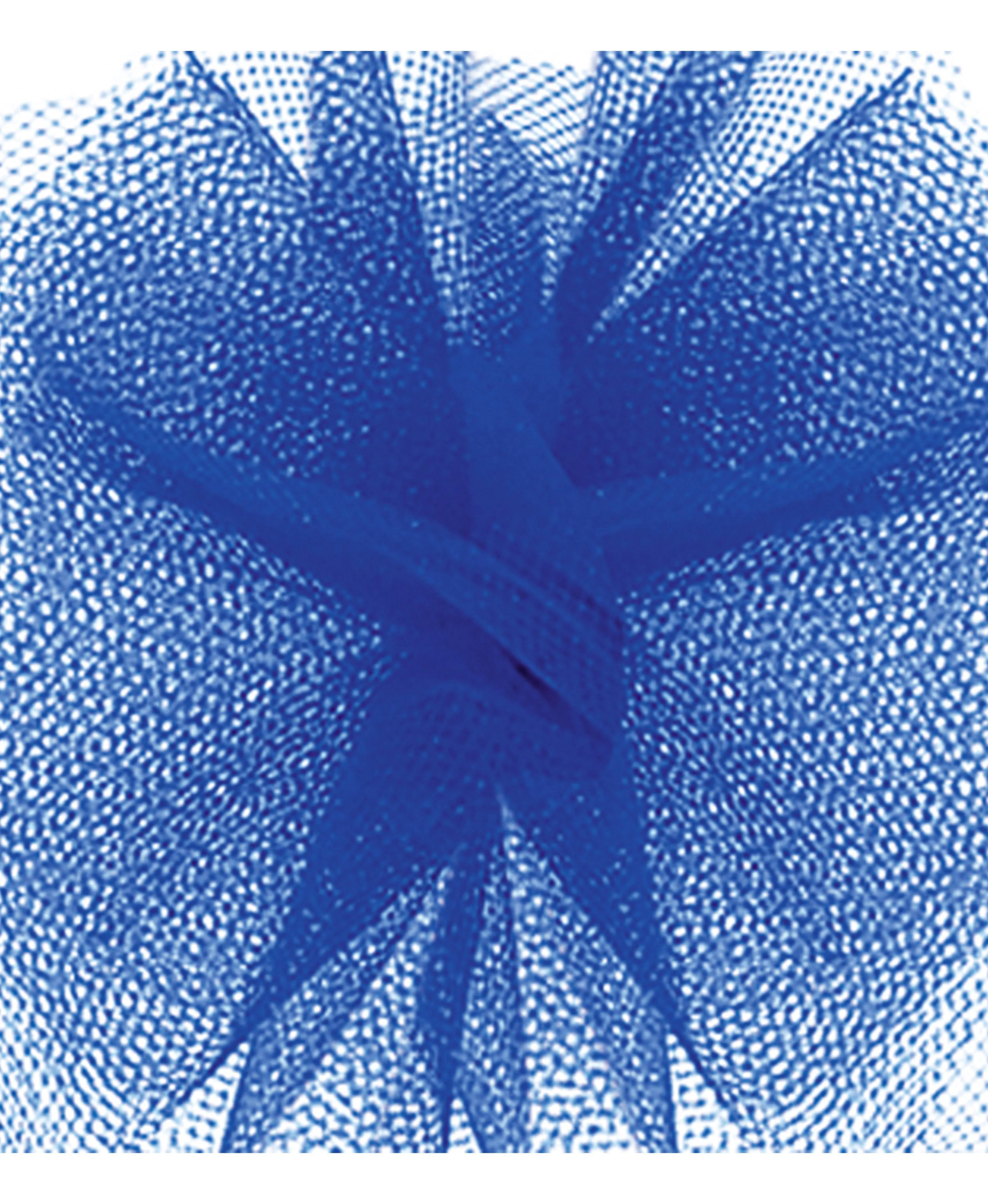Tulle Ribbon