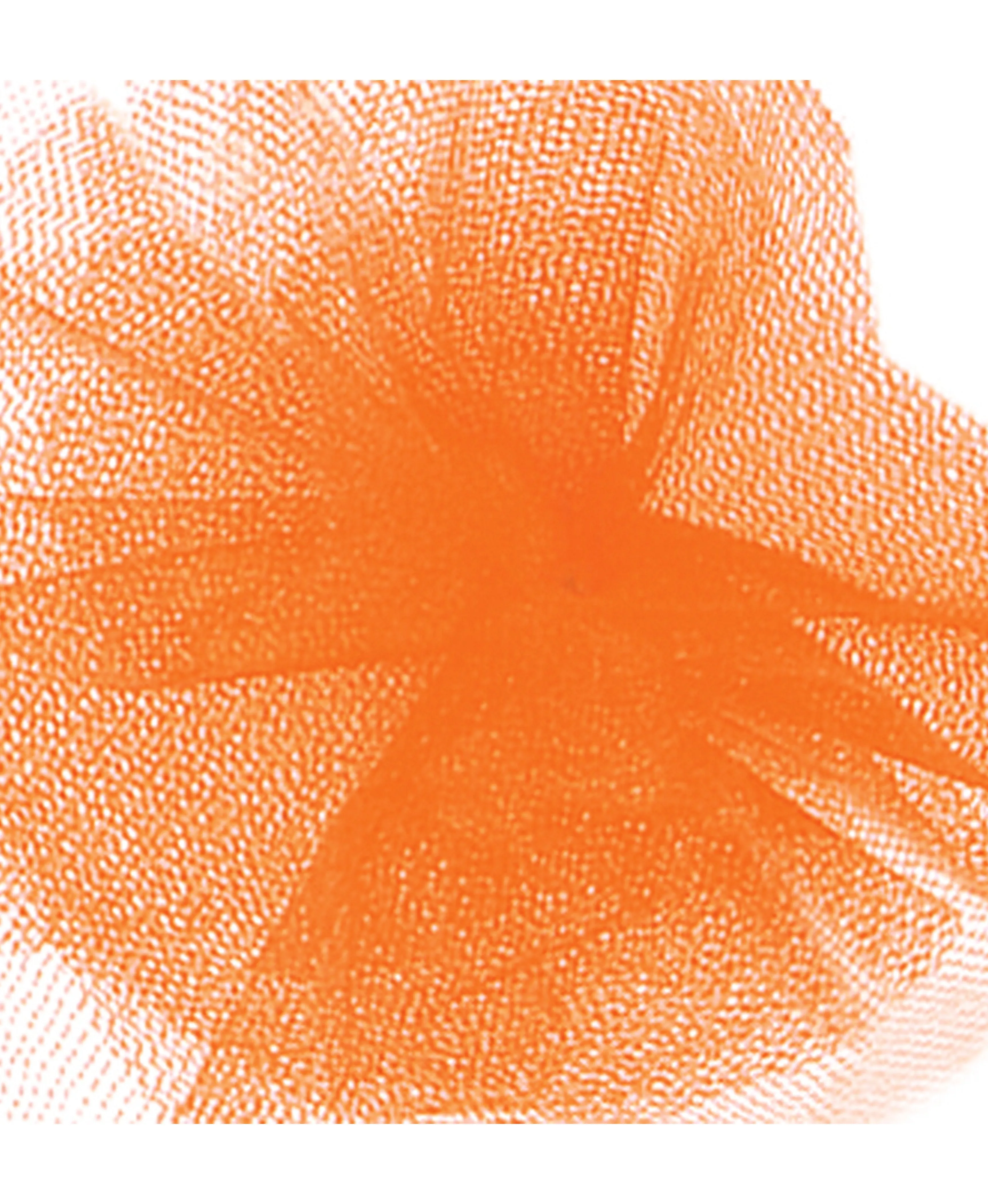 Tulle Ribbon