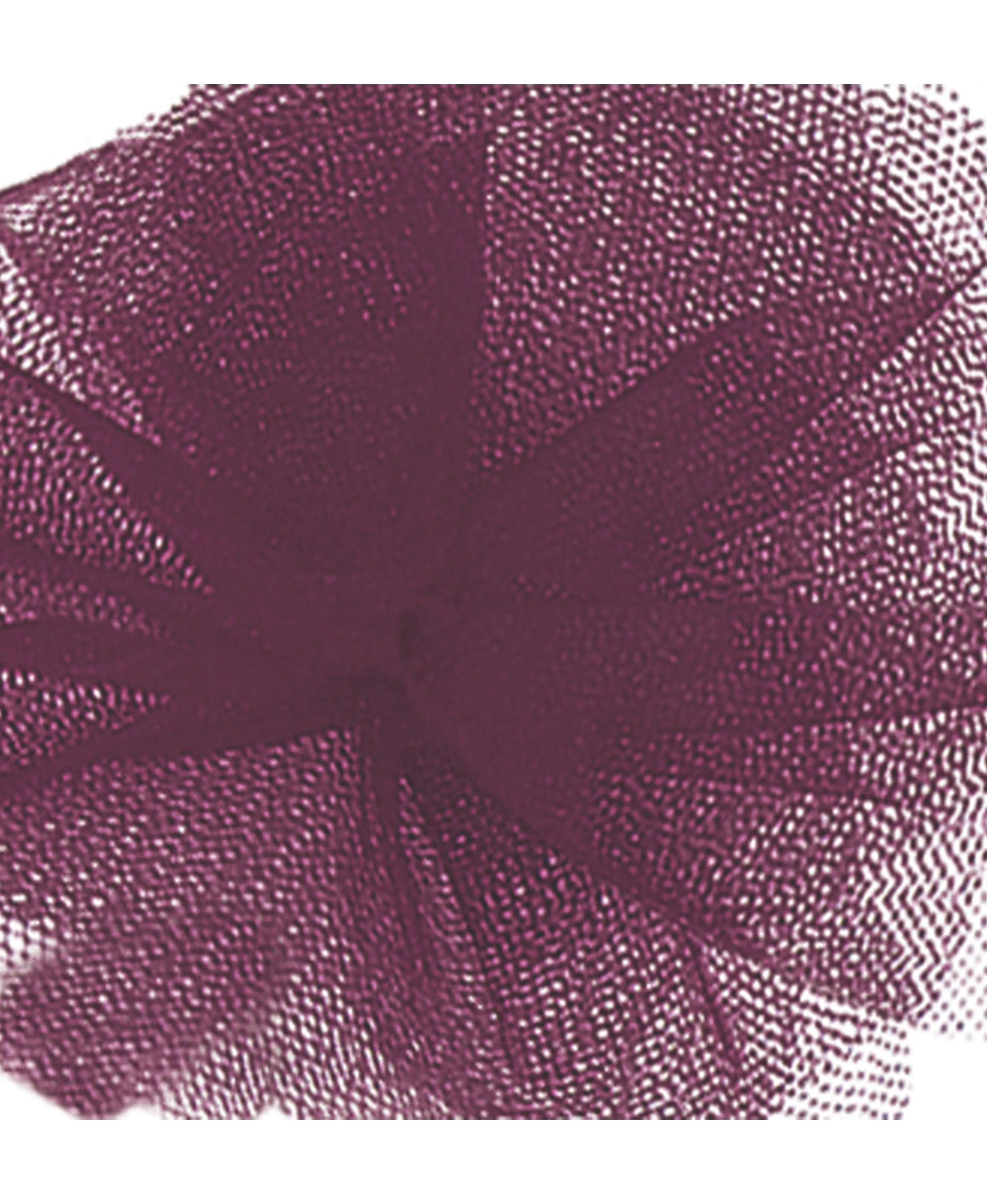 Tulle Ribbon