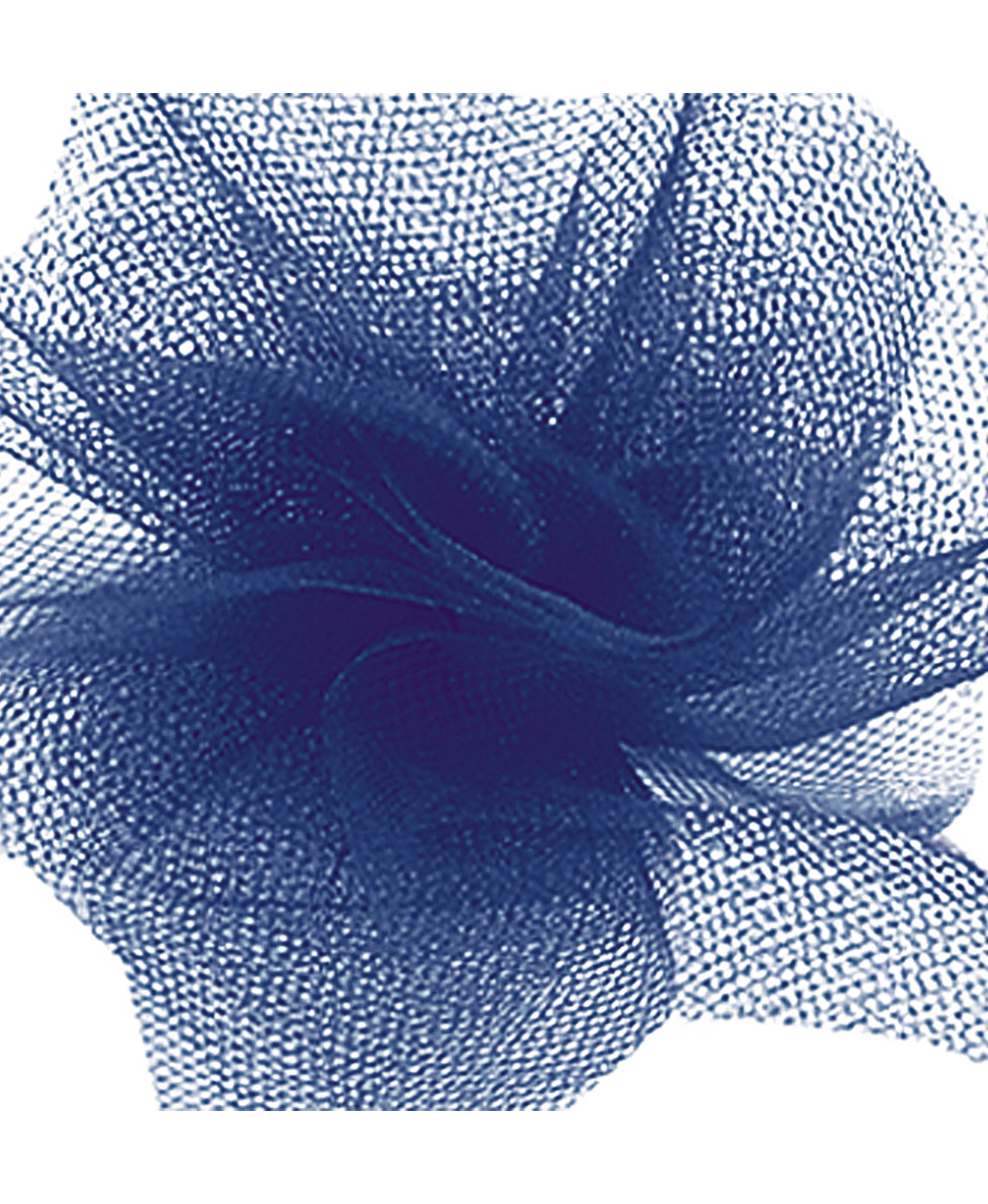 Tulle Ribbon
